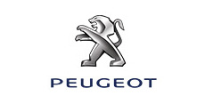 Peugeot 标致顶胶